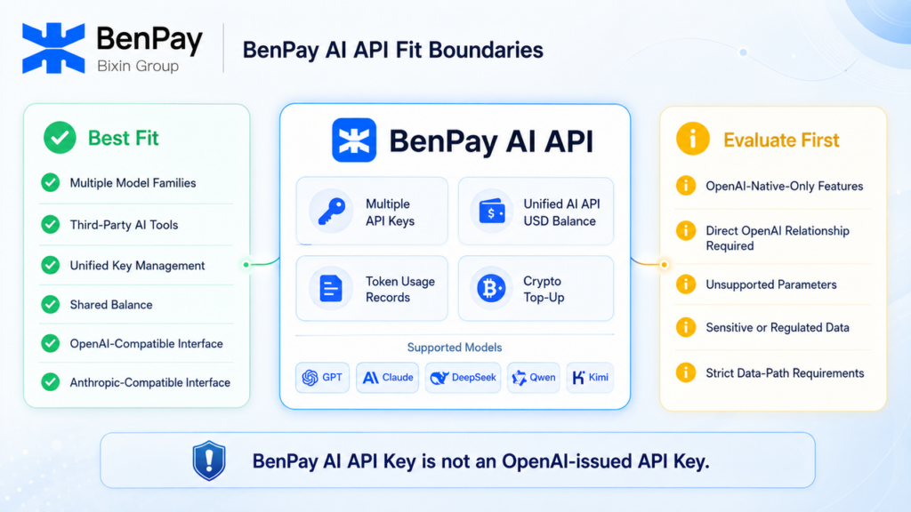 BenPay AI API Fit Boundaries