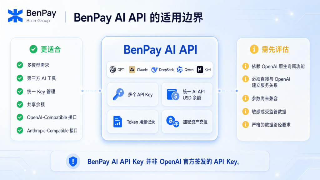 BenPay AI API 的适用边界