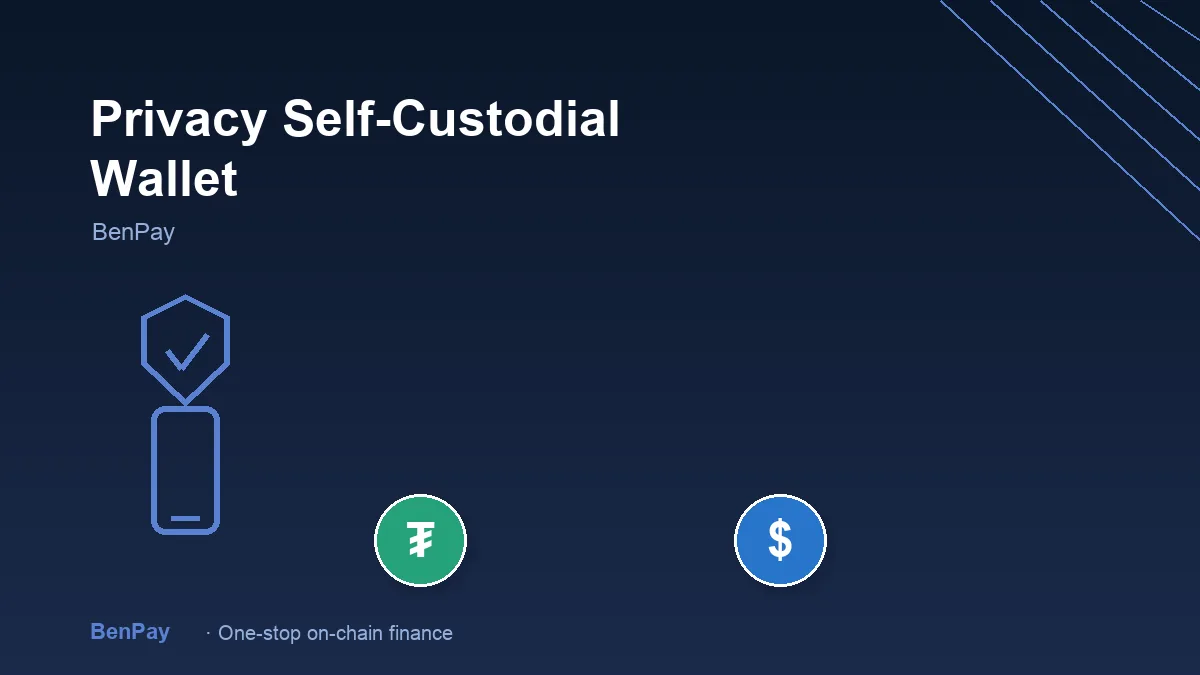Self-Custodial Multi-Chain Wallets Focused on Privacy: What Users Should Know